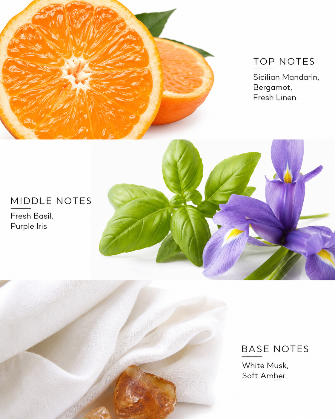 Mediterranean Iris Textile Refresher